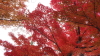 img0043.jpg