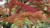 img0044.jpg