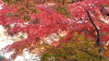 img0046.jpg