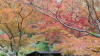 img0048.jpg
