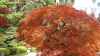 img0051.jpg