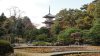 img0053.jpg