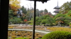 img0055.jpg
