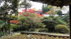 img0056.jpg