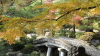 img0060.jpg