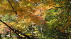 img0065.jpg
