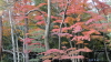 img0067.jpg
