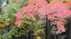 img0068.jpg