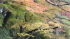 img0070.jpg
