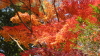 img0075.jpg