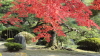 img0091.jpg