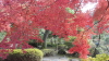 img0094.jpg