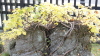 img0116.jpg