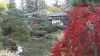 img0121.jpg