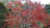 img0123.jpg