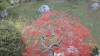 img0124.jpg