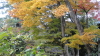 img0125.jpg