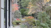 img0127.jpg