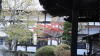 img0129.jpg