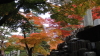 img0135.jpg