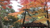 img0139.jpg