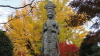 img0141.jpg