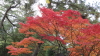 img0142.jpg