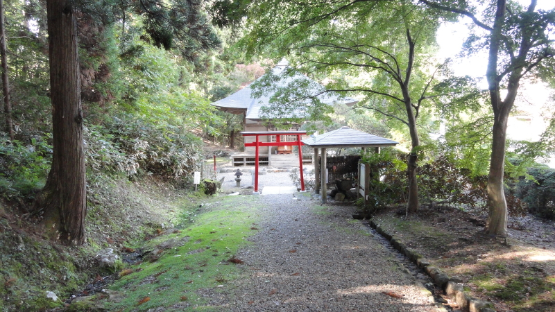 img0001.jpg