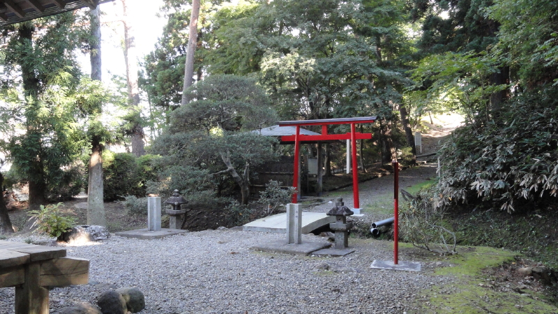 img0009.jpg