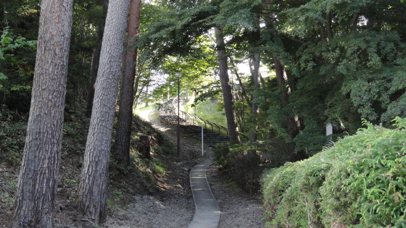 img0011.jpg