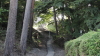 img0011.jpg