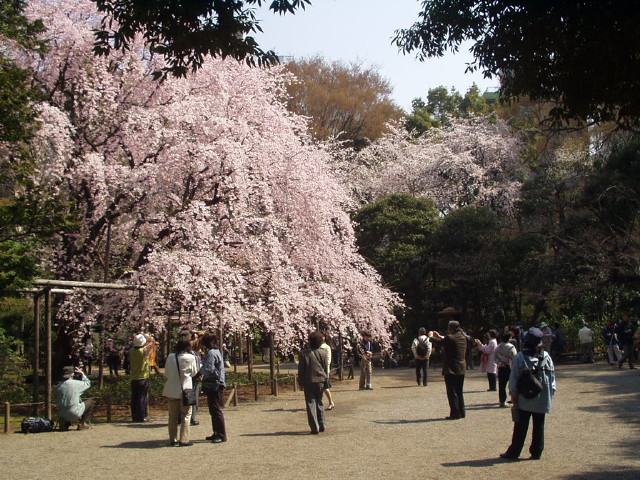 img0001.jpg