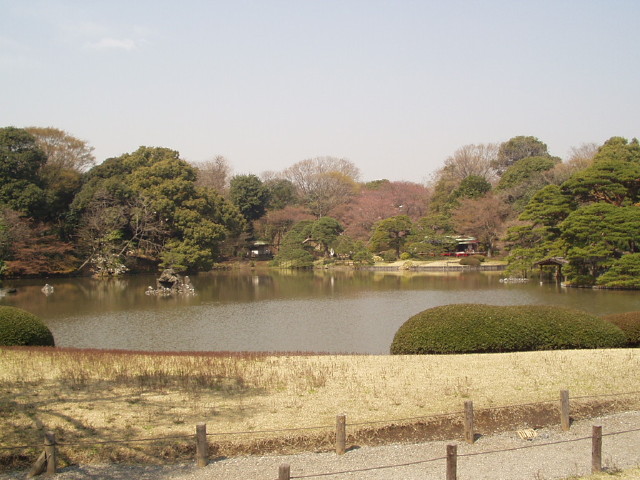 img0003.jpg