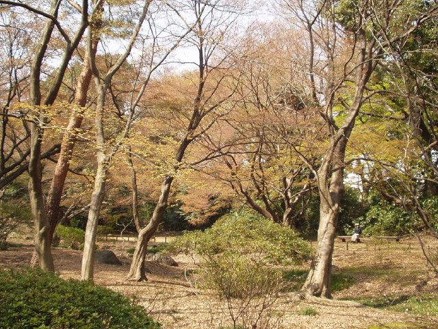 img0009.jpg