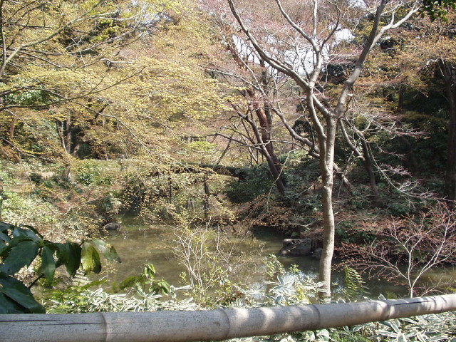 img0010.jpg