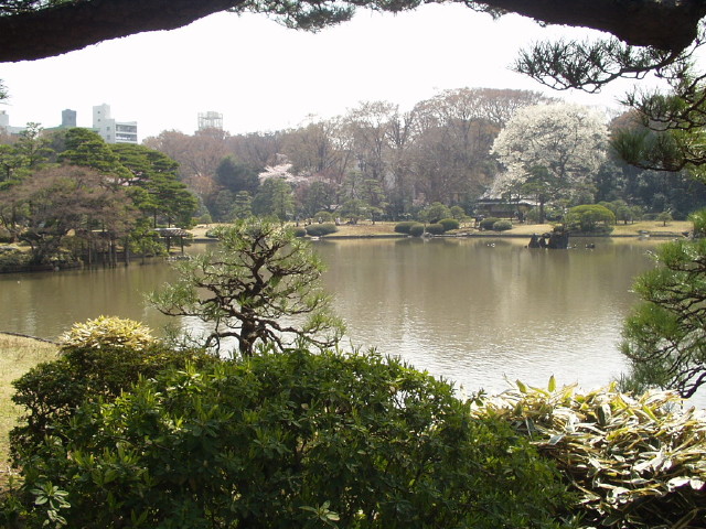 img0011.jpg