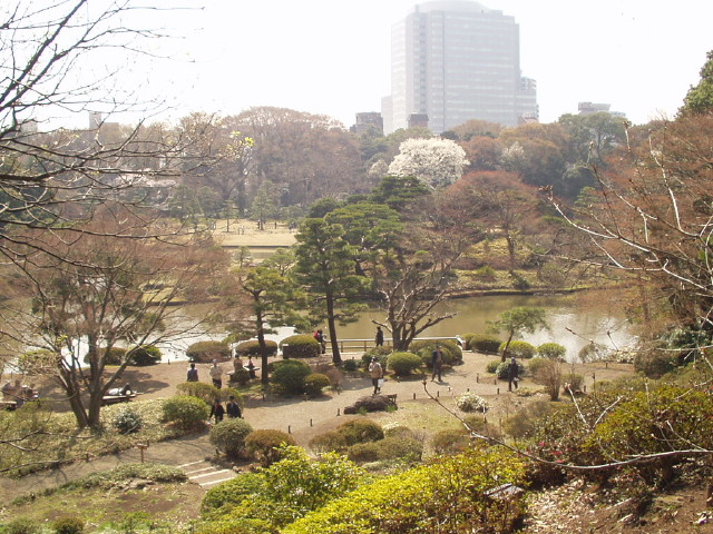 img0013.jpg