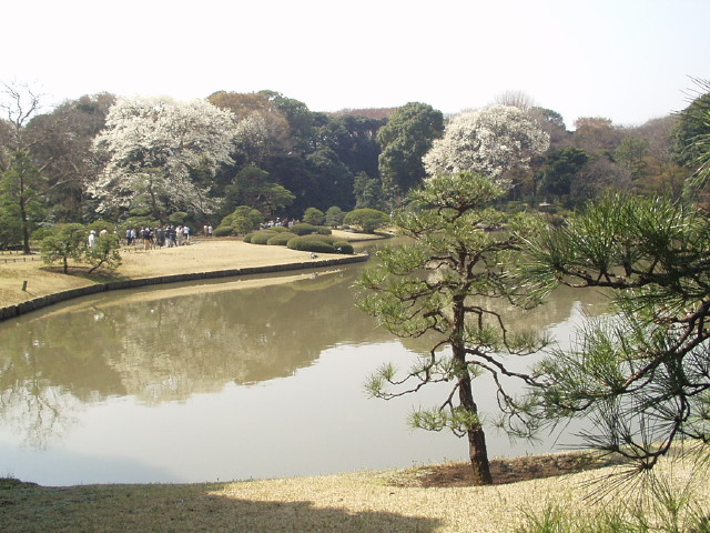 img0015.jpg