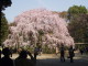 img0000.jpg