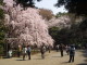 img0001.jpg