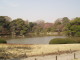 img0003.jpg