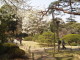 img0004.jpg