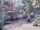 img0005.jpg