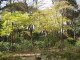 img0007.jpg