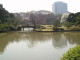 img0012.jpg