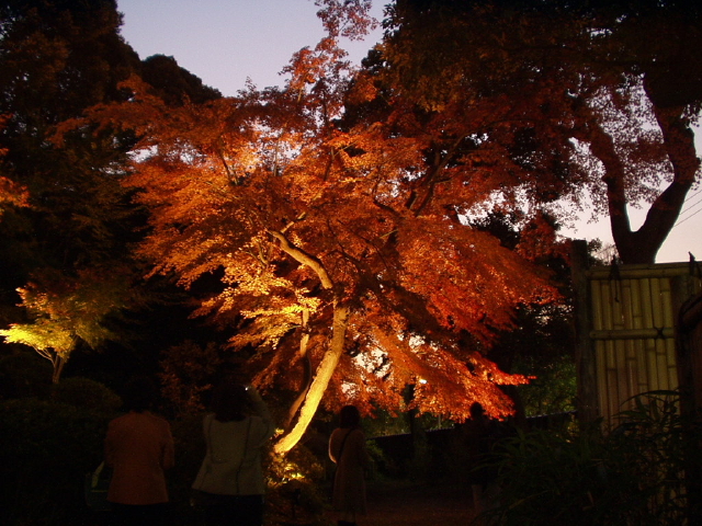 img0001.jpg