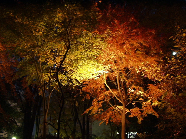 img0004.jpg