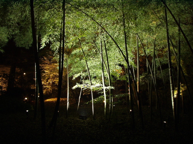 img0005.jpg
