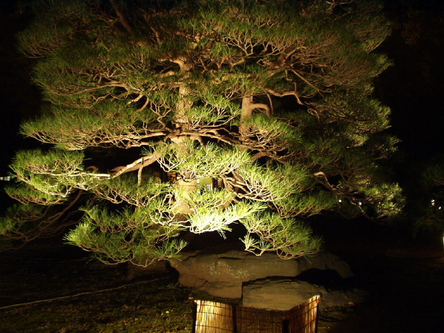img0009.jpg