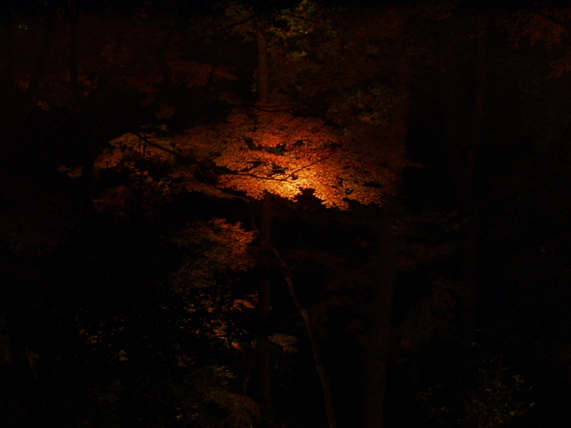 img0016.jpg
